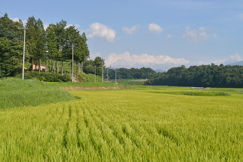 nikond800e japan gunma numata rice field