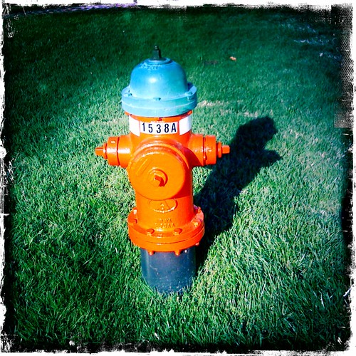 cameraphone red green grass hydrant fire firehydrant iphone iphoneography hipstamatic