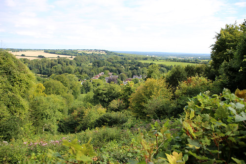 View from Selborne Common 