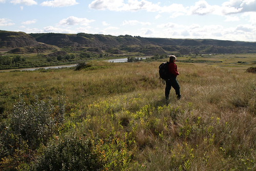 Tolman Badlands HR