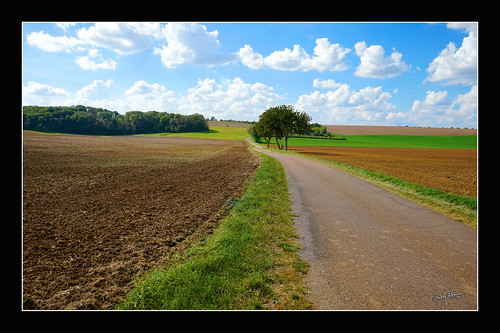 21450 Chaume-lès-Baigneux (environ) "2014" by Christian Labeaune, Impression du Châtillonnais, Bourgogne, France...france paysages 2014 21450 bourgognecôtedor chatill