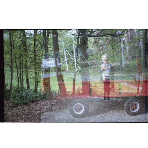 Forest Apparition | by Richard Pike / PVT