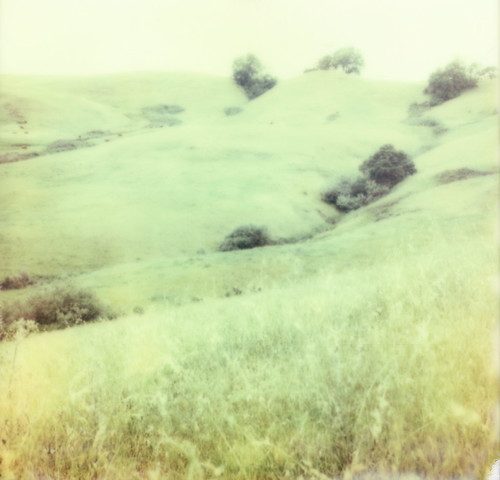 mountain green film grass hill sonoma pasture instant slr680 theimpossibleproject px680