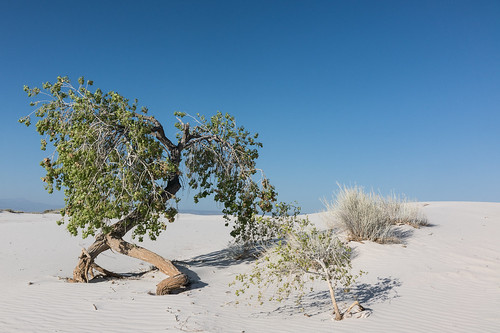 sky outdoor dunes sand landscape desert newmexico white tularosa unitedstates us