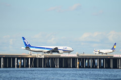 ANA B777 JA741A and SKY B737 JA73NQ at the End of D-runway of Haneda Airport