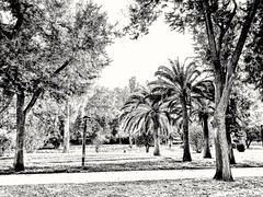 El Jardín del antiguo cauce del río Turia - Parque Urbano del Turia - Valencia