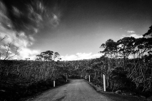 light shadow black art classic dark fun happy cycling climb exposure play view outdoor style australia funky special exotic hobart mtwellington depth interest challenging 2014 iphoneography festive500