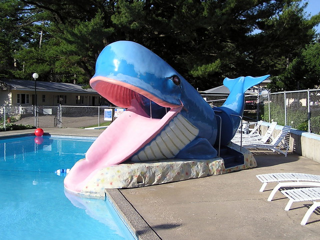 Water Slide Whale