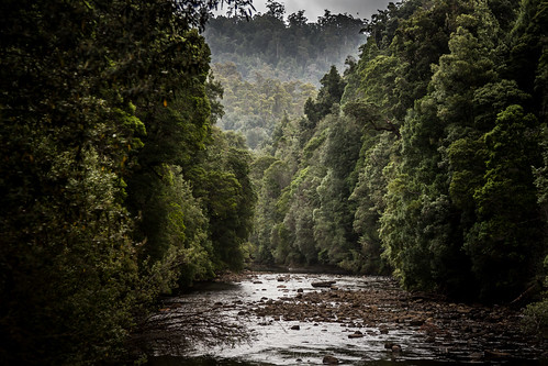 trees river tasmania gorge hellyergorge