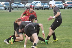 IMG_6767