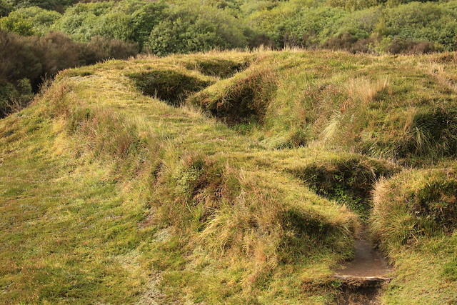 Te Kooti Redoubt Trench Fortification Central Plateau North Island New Zealand