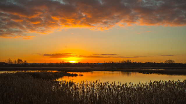 Sunset Over Potteric Carr