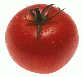 tomato | by whampoaorg