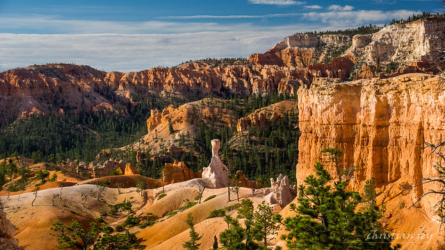 Bryce Canyon National Park: on the Queens Garden trail, Utah, USA
