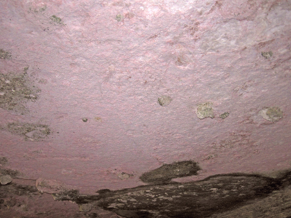 Pink Grotto Pink Grotto (San Salvador Island, Bahamas) 4 | Pink Grotto, … | Flickr