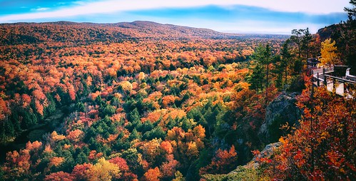 autumn color fall foliage forest landscape nature outdoors season trees valley