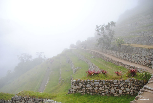 Sumua Machu Picchun rinteillä