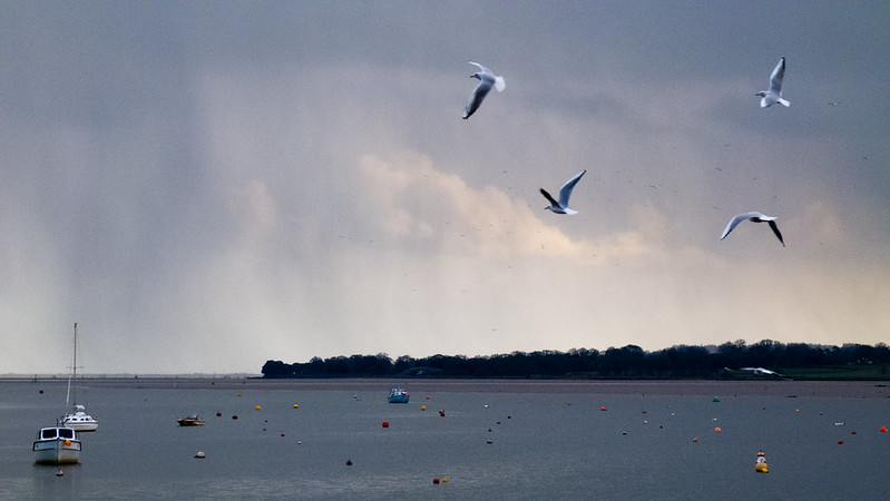 Exe estuary, rain coming on