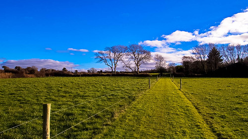 ireland canon fence landscape raw kerry tralee febuary 2015 landscapephotography irishlandscape lightandclouds tamron1024mm wetherswell