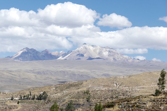 Mirador de Ocolle Cañon del Colca Valley Arequipa Peru