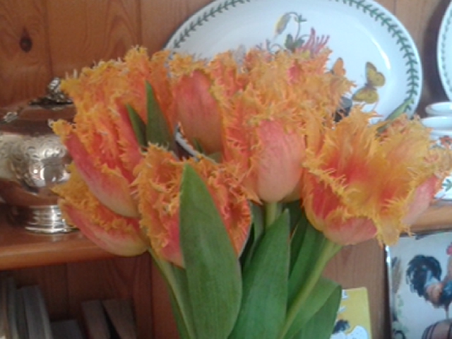 Parrot tulips in breakfast room