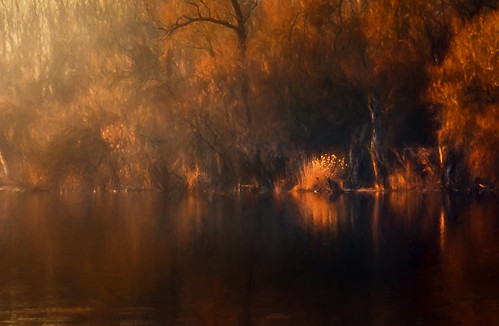 autumn sunset sunlight reflection nature water colors forest landscape nikon hungary andrás pásztor d5100