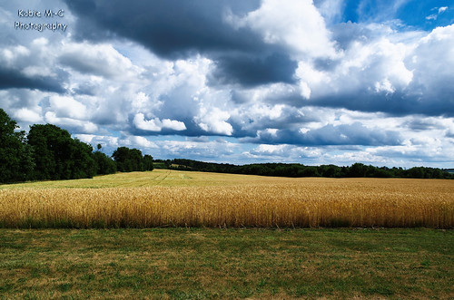 sky field grass clouds landscape scenery farm background harvest scenic land greenery