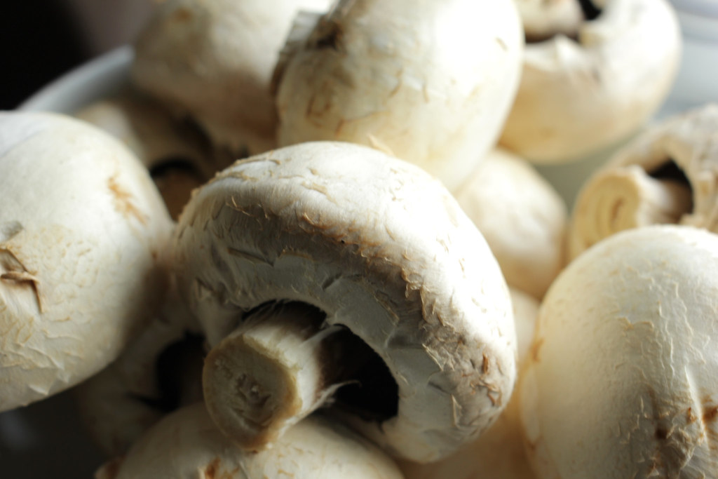 Mushrooms / Pilze II