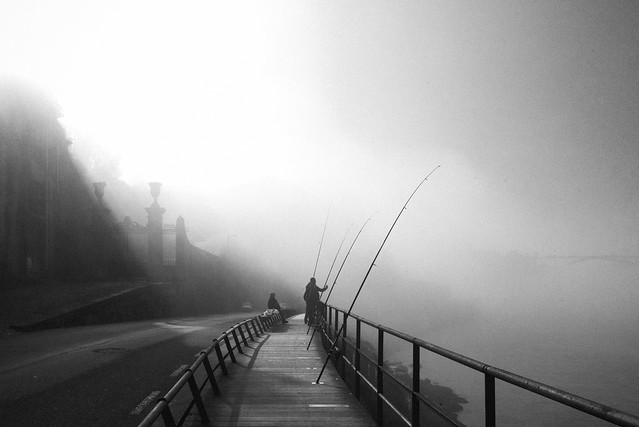 6445 ~ Fishing on a foggy afternoon...