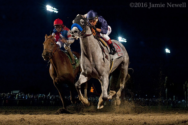 Cupid wins the Indiana Derby