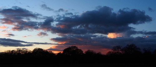 Evening Spectacle | by Lois T1