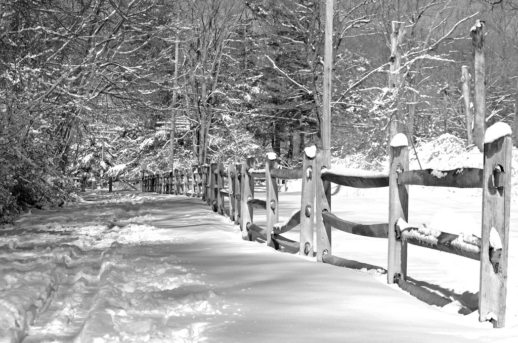 Snowy Fence Friday