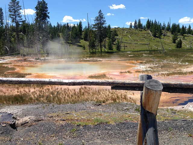Geysers at Yellowstone National Park