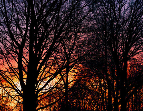 winter sunset netherlands canon dusk limburg autofocus munstergeleen winterdusk canoneos450d