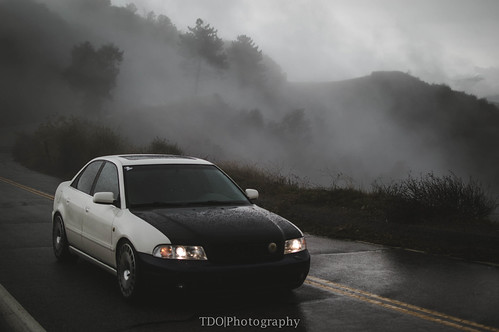 Bit foggy | by TDO | Photography