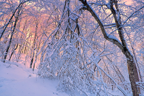 winter sunset sky cloud snow tree forest