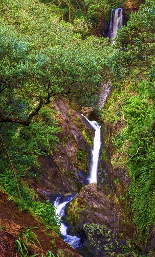 wairaka water falls rocks outdoor landscape waterfall stream creek whakatane new zealand trees