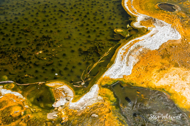 Colours of Yellowstone