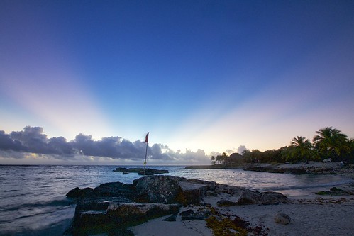 wild beach nature leaves sunrise palms mexico monkey resort iguana rays