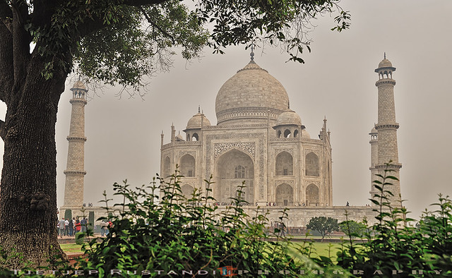 Taj Mahal in frame