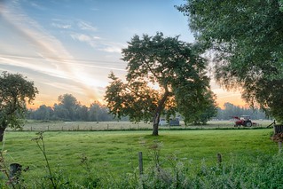 Morning dawn Spijk (NL)