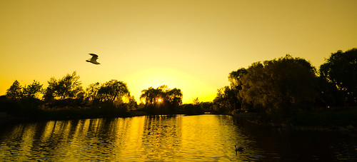 chinguacousy park brampton ontario sunset 93793499n00 volume9