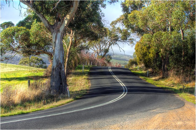 Tasmanian Country Roads