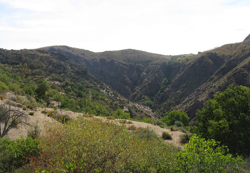 hills valley