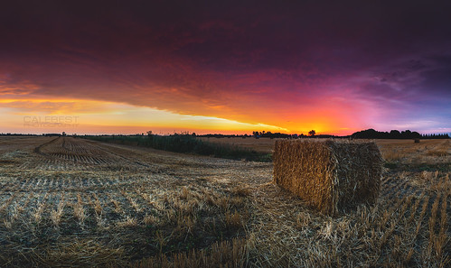 sunrise panorama hay farm field light windsor ontario windsoressex essex landscape photography nature moody color colour clouds weather