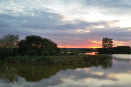 water reservoir sunset tree abbertonreservoir