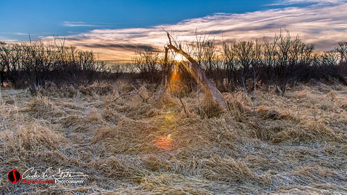 tree field grass composite wisconsin clouds forest sunrise canon landscape place unitedstates horizon prairie hdr pewaukee landscapephotography pewaukeelake pewaukeewi discoverwisconsin travelwisconsin 5dmarkiii andrewslaterphotography