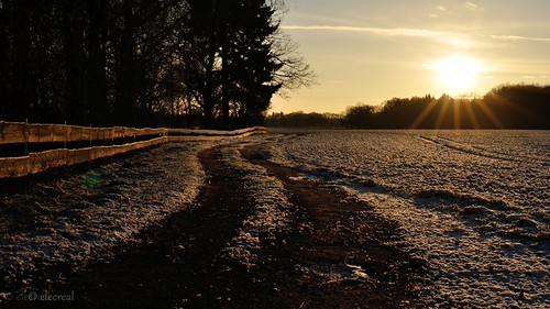 Road to the place where the sun is sleeping by light.art.brosemann, schnee winter sunset snow nature landscape nikon sonnenuntergang natur landschaft mecklenburg karow 