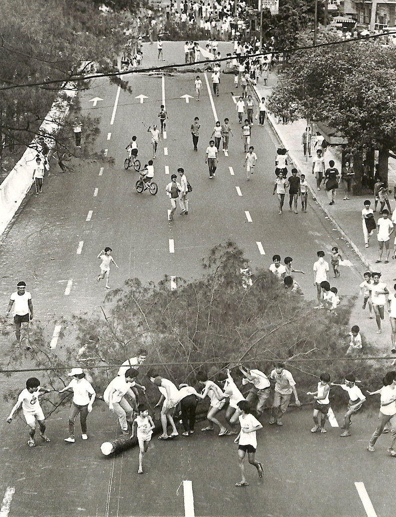 February 23, 1986: Young men cut down a tropical pine, drag it to the middle of the street and leave it there as a barricade against tanks