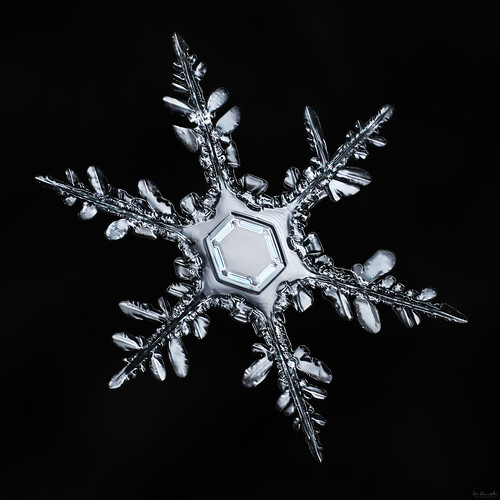snowflake winter sky snow macro ice nature water frozen crystal geometry flake symmetry hexagon balance mpe focusstacking